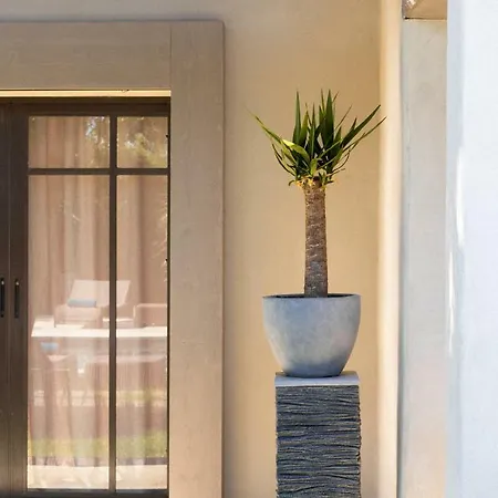 Le Pre De La Szálloda